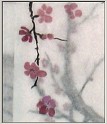 PlumBlossom-02